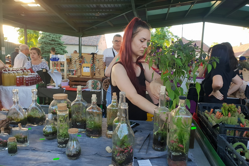 BILJNI TERARIJUMI MILANE TABAČKI