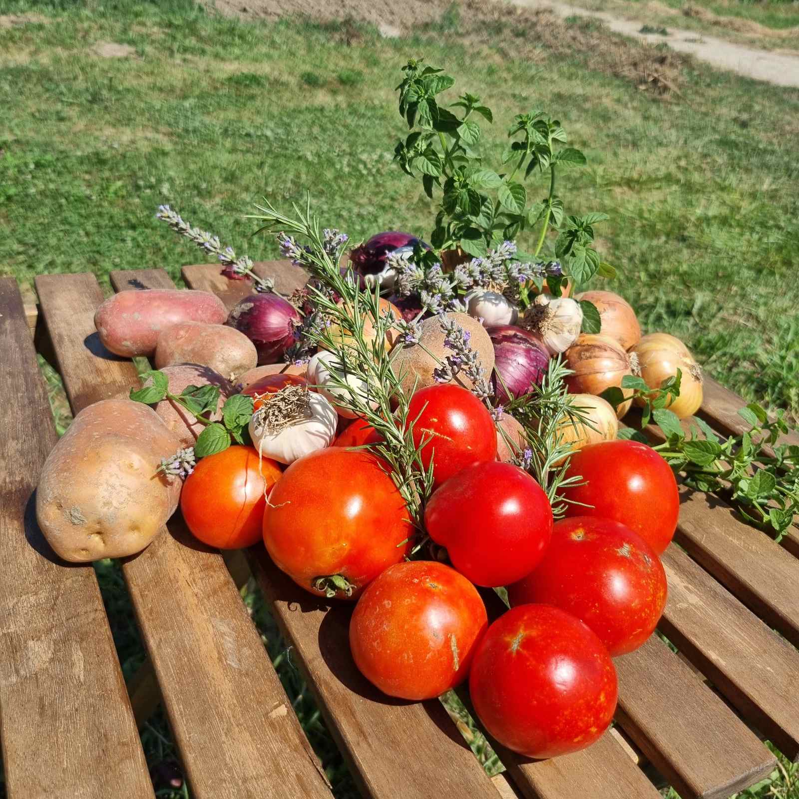 Zemlja me je vratila u život