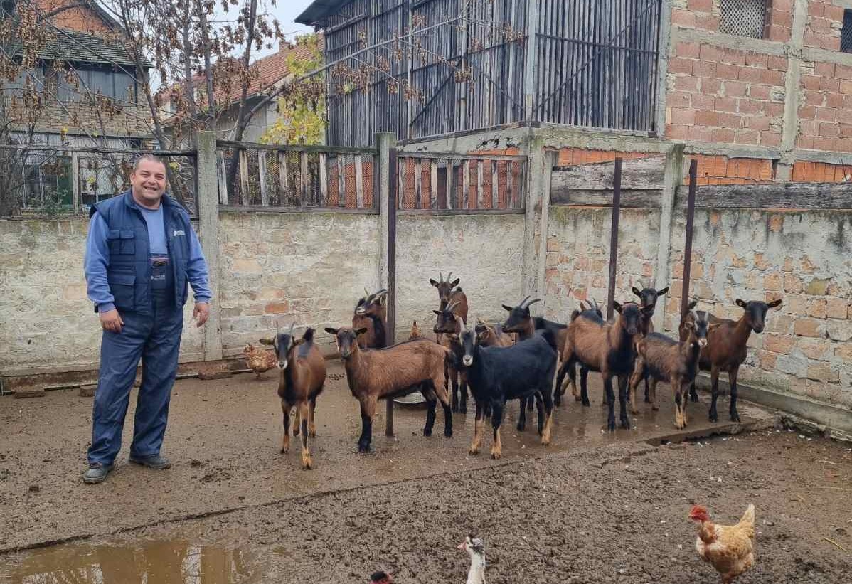 Od dve sanske do stada alpina